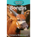 Bongos