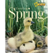 Everything Spring