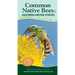 Common Native Bees of the Eastern United States: Your Way to Easily Identify Bees and Look-Alikes