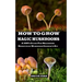 How to Grow Magic Mushrooms: A 100% Guide for Beginners. Benefits of Mushroom Grower's kit