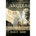 Angels Workbook: A Biblical School of Living Light
