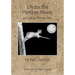Under the Panther Moon: and other Florida Tales