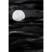 An Anthology of Thoughts in Rhyme