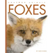 Foxes