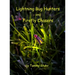 Lightning Bug Hunters and Firefly Chasers
