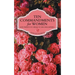 Ten Commandments for Women: God Wants to Speak to His Daughters