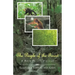 The People of the Forest: A Rain Forest Musical