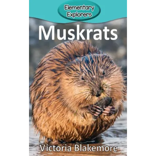 Muskrats