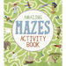 Amazing Mazes Activity Book