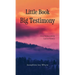Little Book, Big Testimony: How Vulnerability led to Victory