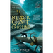 Black Cat Crossing