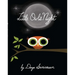 Little Owl's Night