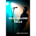 Post Malone Falls
