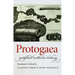 Protogaea