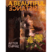 A Beautiful Resistance: After Empire