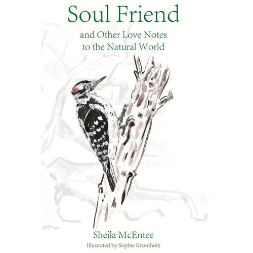 Soul Friend: And Other Love Notes to the Natural World