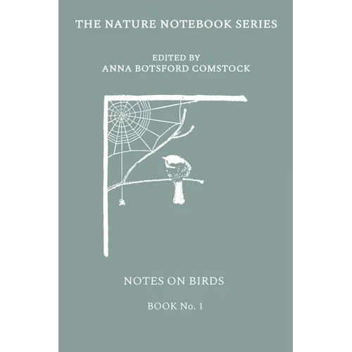Notes on Birds 1