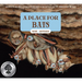 A Place for Bats (Third Edition)