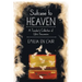 Suitcase to Heaven: A Traveler's Collection of Life's Souvenirs