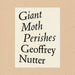 Giant Moth Perishes