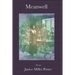 Meanwell: Poems