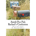 Amish Pen Pals: Rachael's Confession