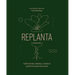 Replanta: Cultiva Frutas, Hierbas Y Verduras a Partir de Restos de Cocina