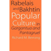 Rabelais and Bakhtin: Popular Culture in Gargantua and Pantagruel