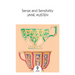 Sense and Sensibility