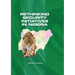 Rethinking Security Initiatives in Nigeria