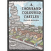 A Thousand Coloured Castles