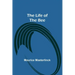 The Life of the Bee