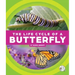 The Life Cycle of a Butterfly