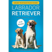 Labrador Retriever: From Puppy to Adult (0-24 Months)