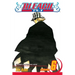Bleach, Vol. 6