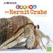 Caring for Hermit Crabs: A 4D Book