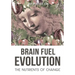 Brain Fuel Evolution: The Nutrients of Change