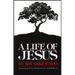 A Life of Jesus