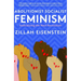 Abolitionist Socialist Feminism: Radicalizing the Next Revolution