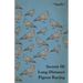 Secrets of Long-Distance Pigeon Racing
