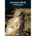 Common Birds of Nunavut