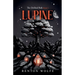 Lupine