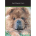 The Dog Code Decoded: The story of a dog who wanted more and to give more