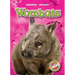 Wombats