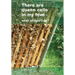 There are queen cells in my hive: - what should I do?