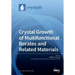 Crystal Growth of Multifunctional Borates and Related Materials