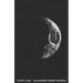 Count Luna