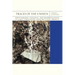 Traces of the Unseen: Photography, Violence, and Modernization in Early Twentieth-Century Latin America Volume 43