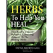 Herbs to Help You Heal