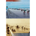 New Smyrna Beach